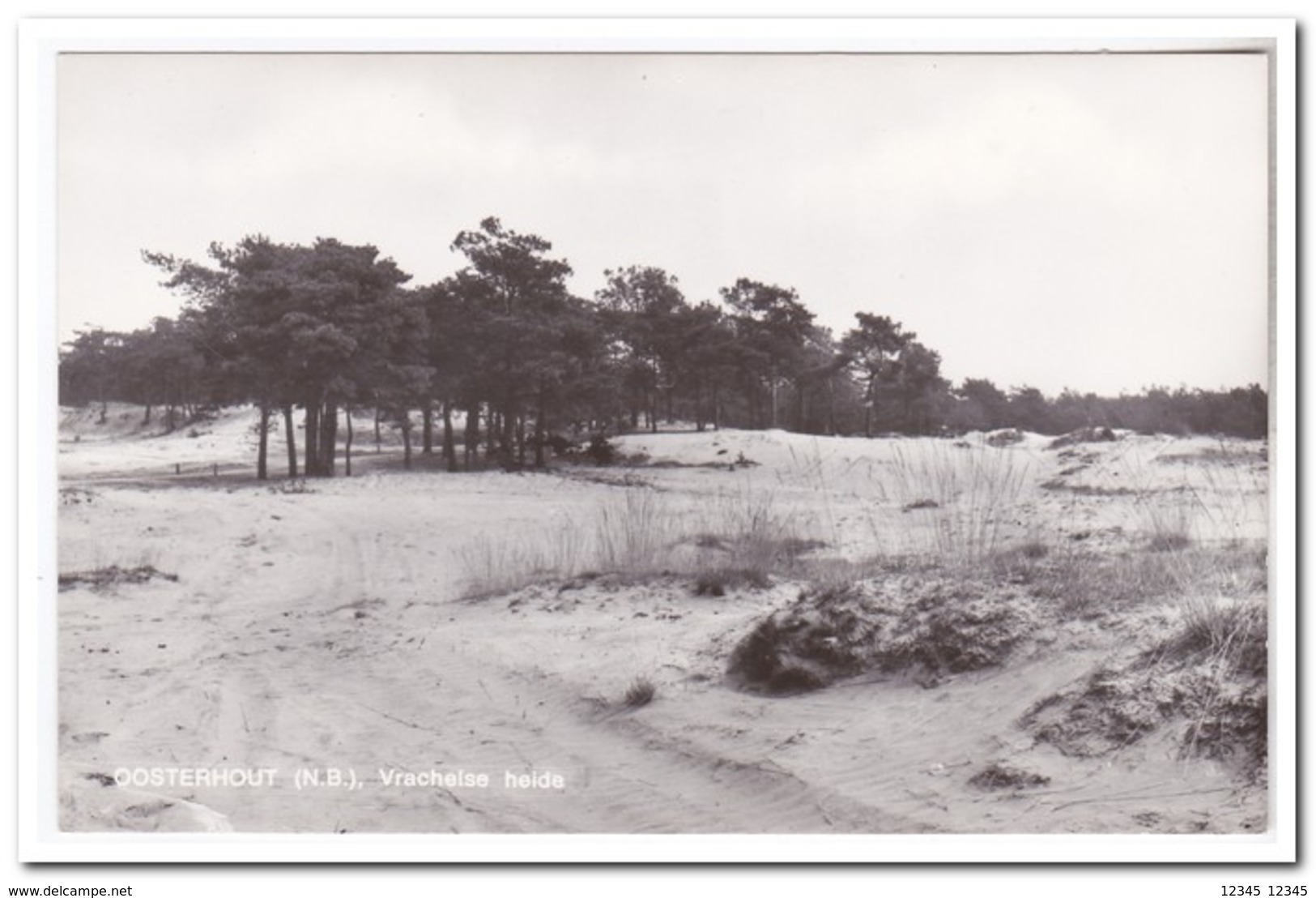 Oosterhout, Vrachelse Heide ( Linker Benedenhoek Geknikt ) - Oosterhout