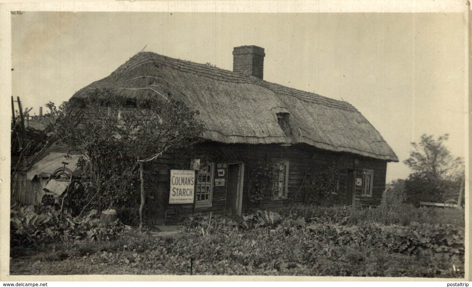 RPPC SHOPFRONT  COLMANS STARCH - Otros & Sin Clasificación