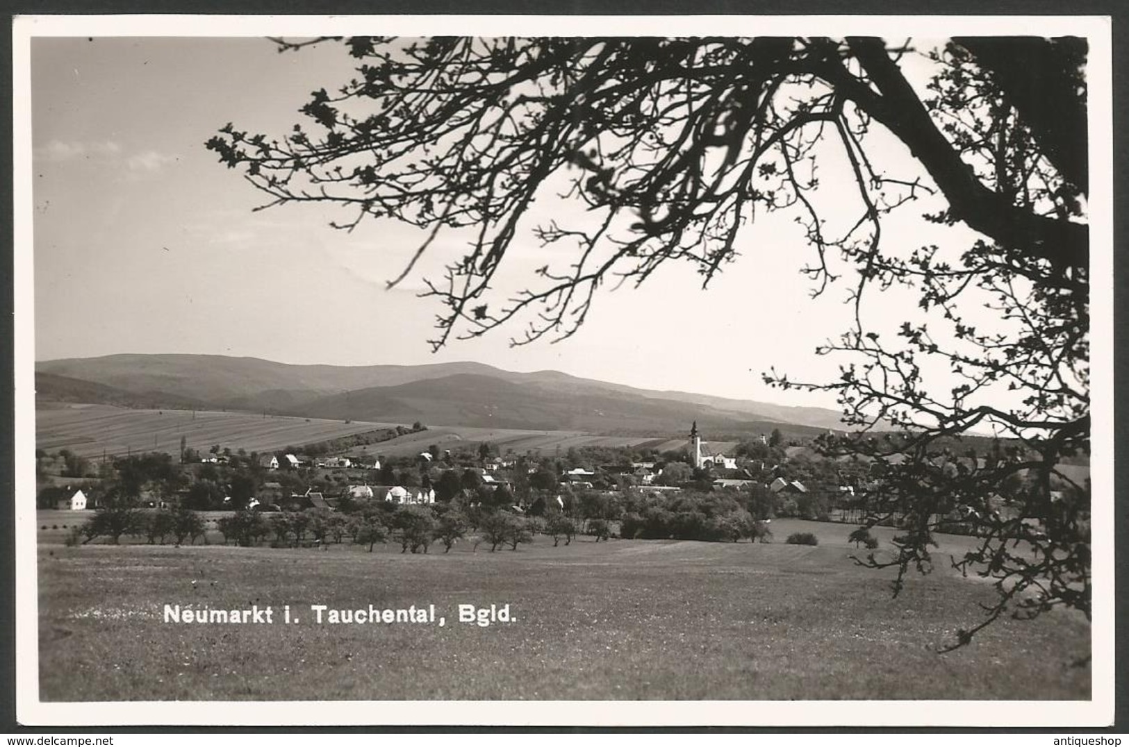 Austria------Neumarkt Im Tauchental------old Postcard - Oberwart