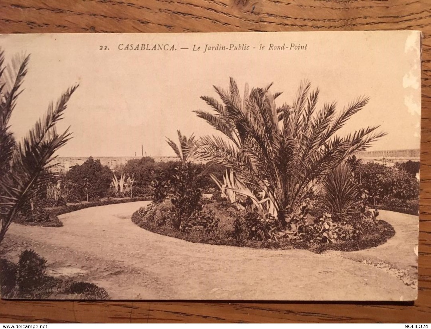 CPA , CASABLANCA, LE JARDIN PUBLIC, LE ROND POINT , Dos Divisé, Non écrite - Casablanca