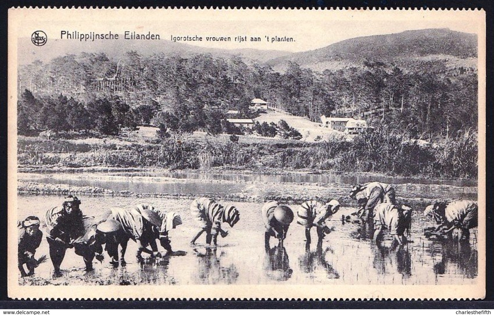 OLD CARD PHILIPPINES -  IGOROT MOUNTAIN WOMEN ( Cordillerans - IFUGAO ( Heath Hunters ) PLANTING RICE - RARE !! - Filippine