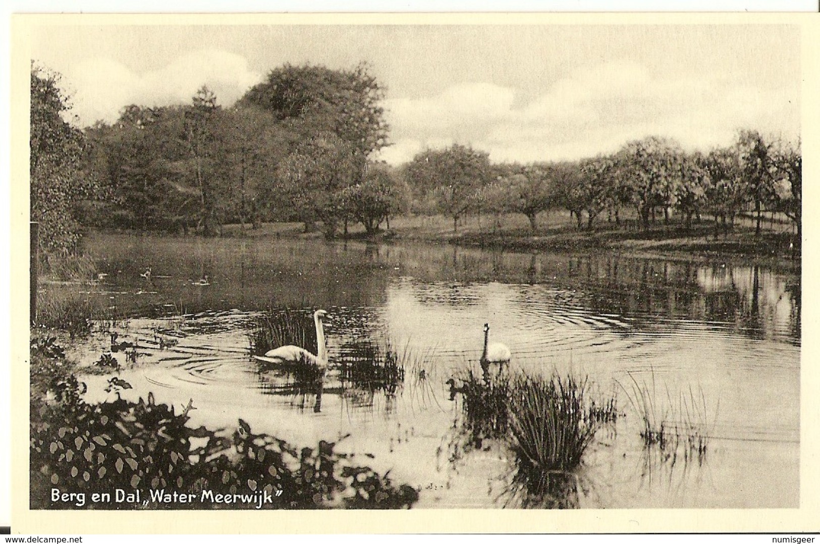 Berg En Dal  " Water Meerwijk " - Autres & Non Classés