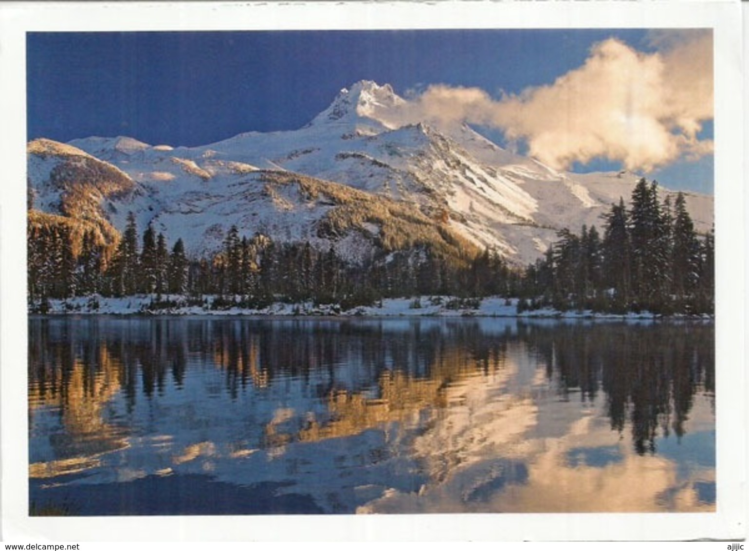 Rocky Mountain National Park. Colorado. Bear Lake.,postcard Sent To Andorra, With Arrival Postmark - Rocky Mountains