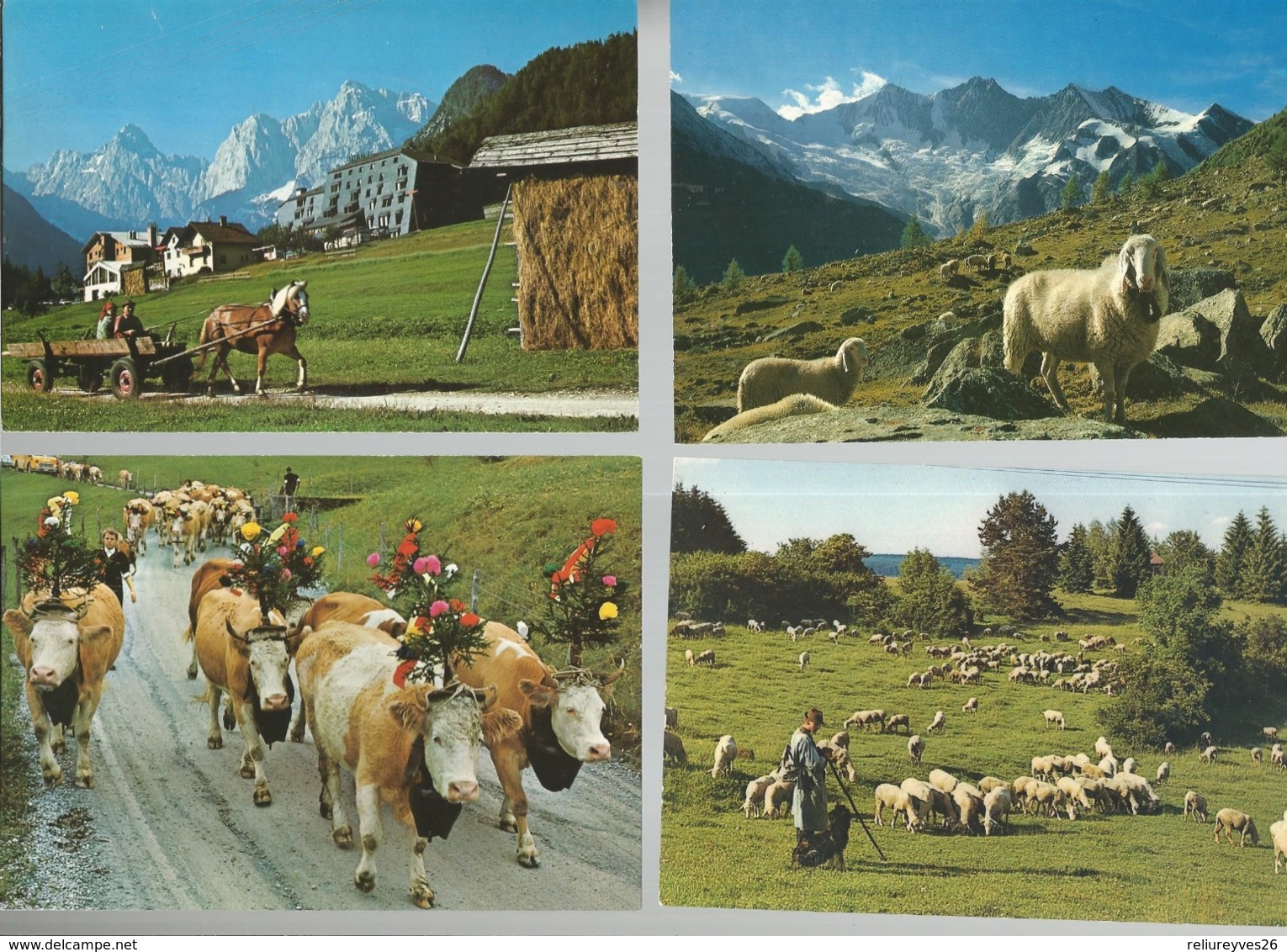 Lot De 30 Cartes Postales Modernes Agriculture   ( Europe ) - Autres & Non Classés