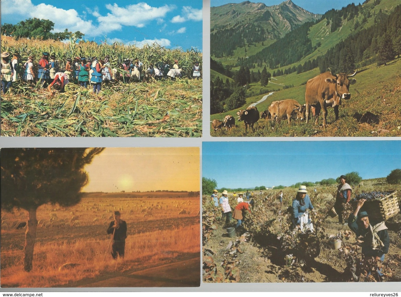 Lot De 30 Cartes Postales Modernes Agriculture   ( Europe ) - Autres & Non Classés