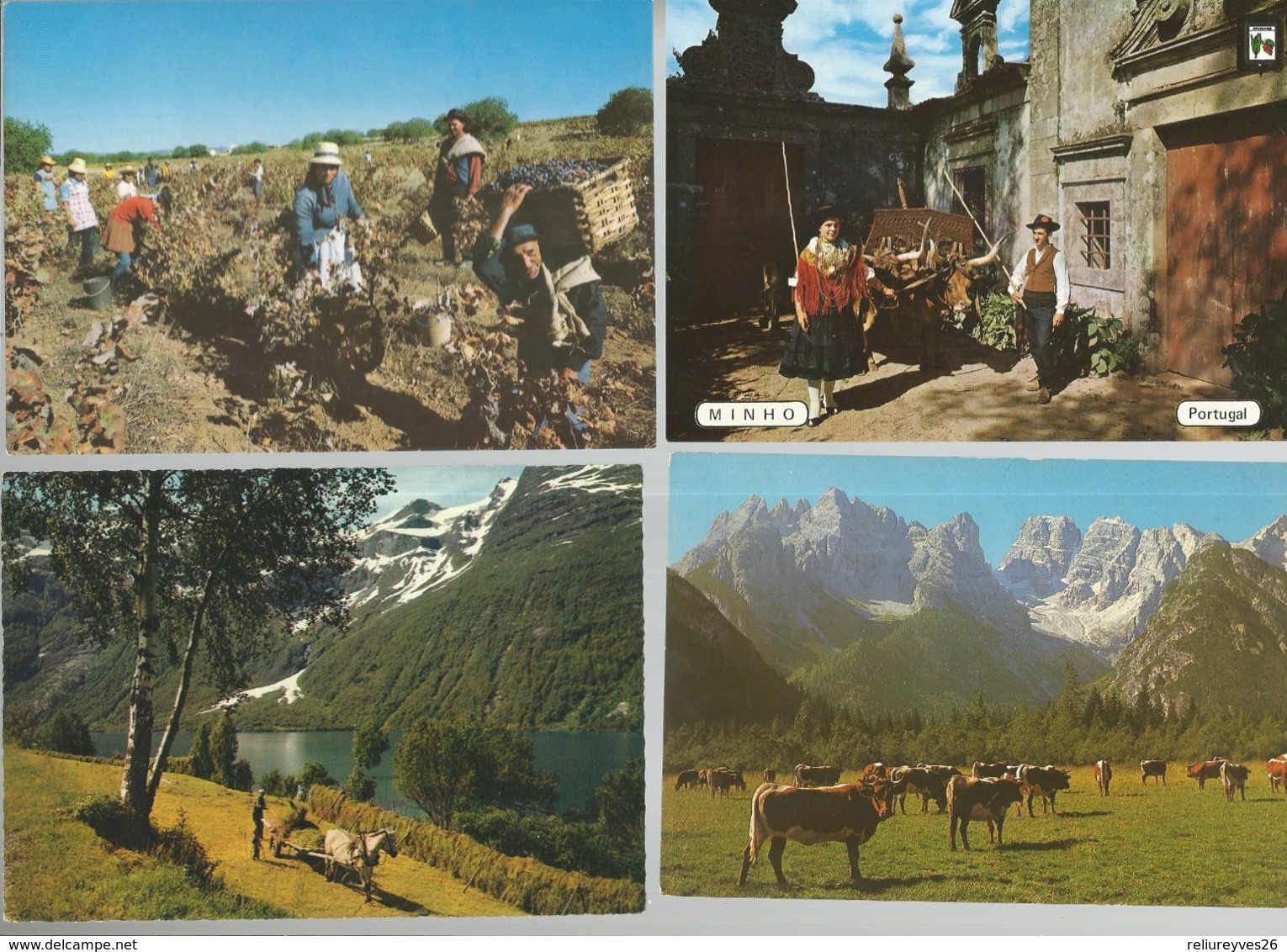 Lot De 30 Cartes Postales Modernes Agriculture   ( Europe ) - Autres & Non Classés