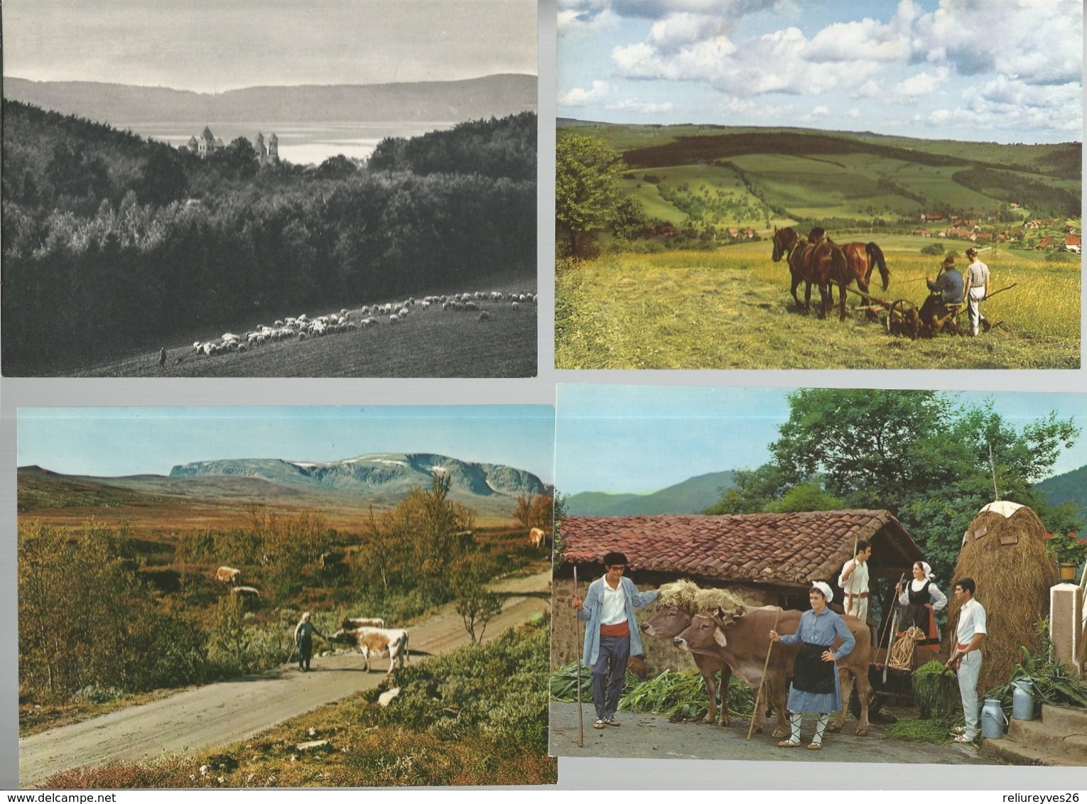 Lot De 30 Cartes Postales Modernes Agriculture   ( Europe ) - Autres & Non Classés