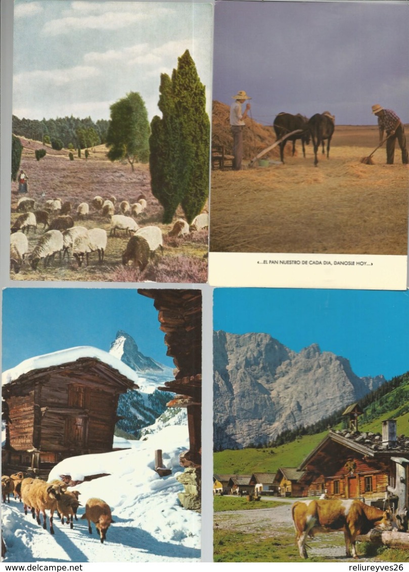 Lot de 30 Cartes Postales Modernes Agriculture   ( Europe )