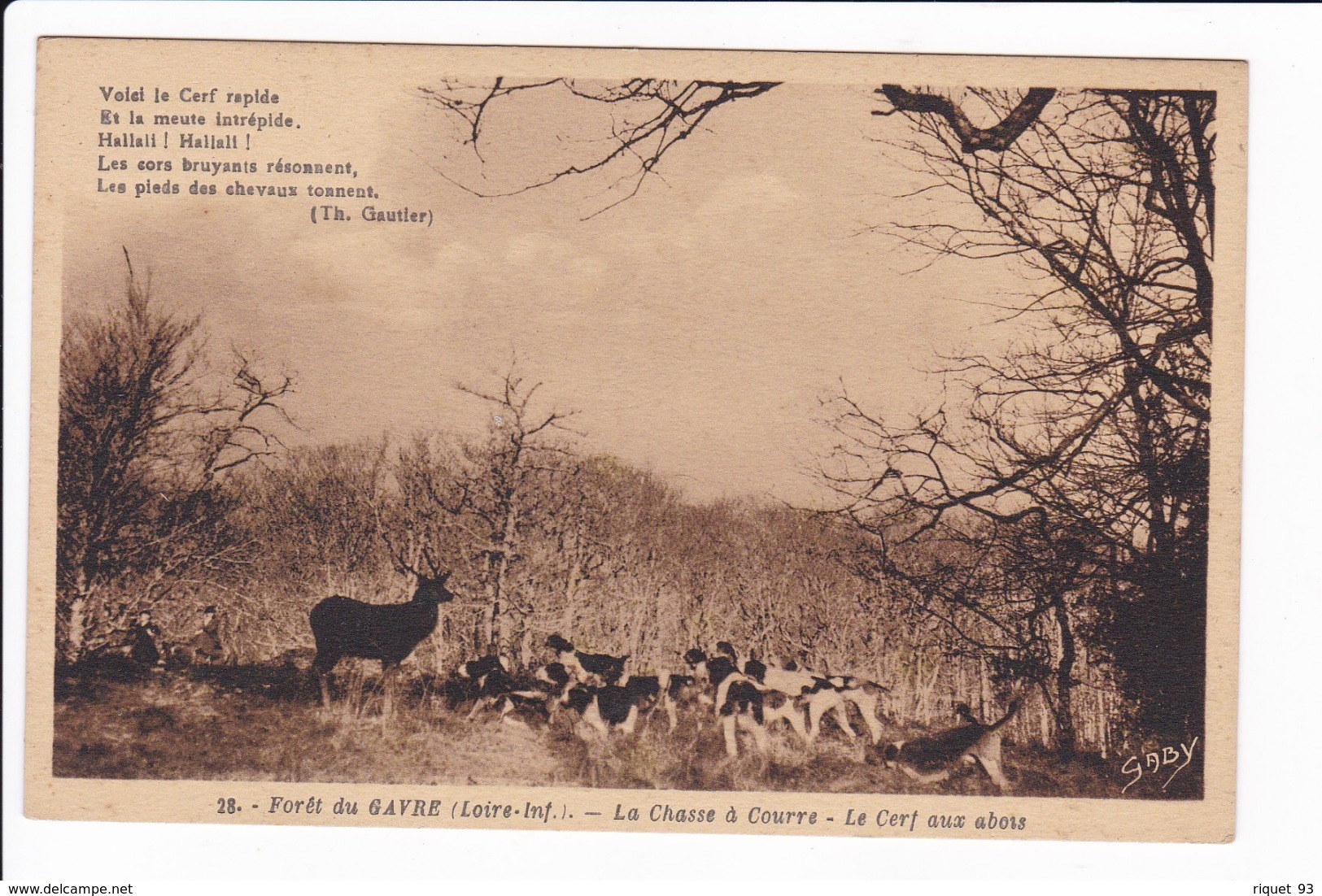 28 - Forêt De GAVRE - La Chasse à Courre - Le Cerf Aux Abois - Altri & Non Classificati