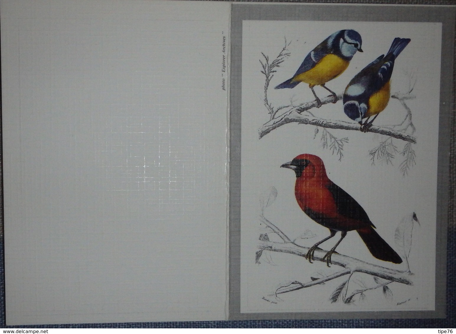 Petit Calendrier De Poche 1987 Illustration Oiseau Mésange - Tamaño Pequeño : 1981-90