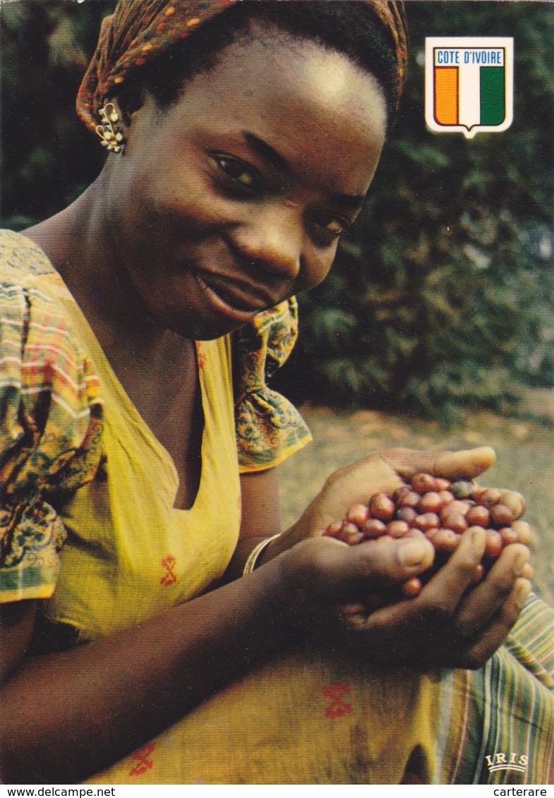 Afrique,africa,COTE D'IVOIRE,FRANCE COLONIE,FEMME,CAFE - Ivory Coast