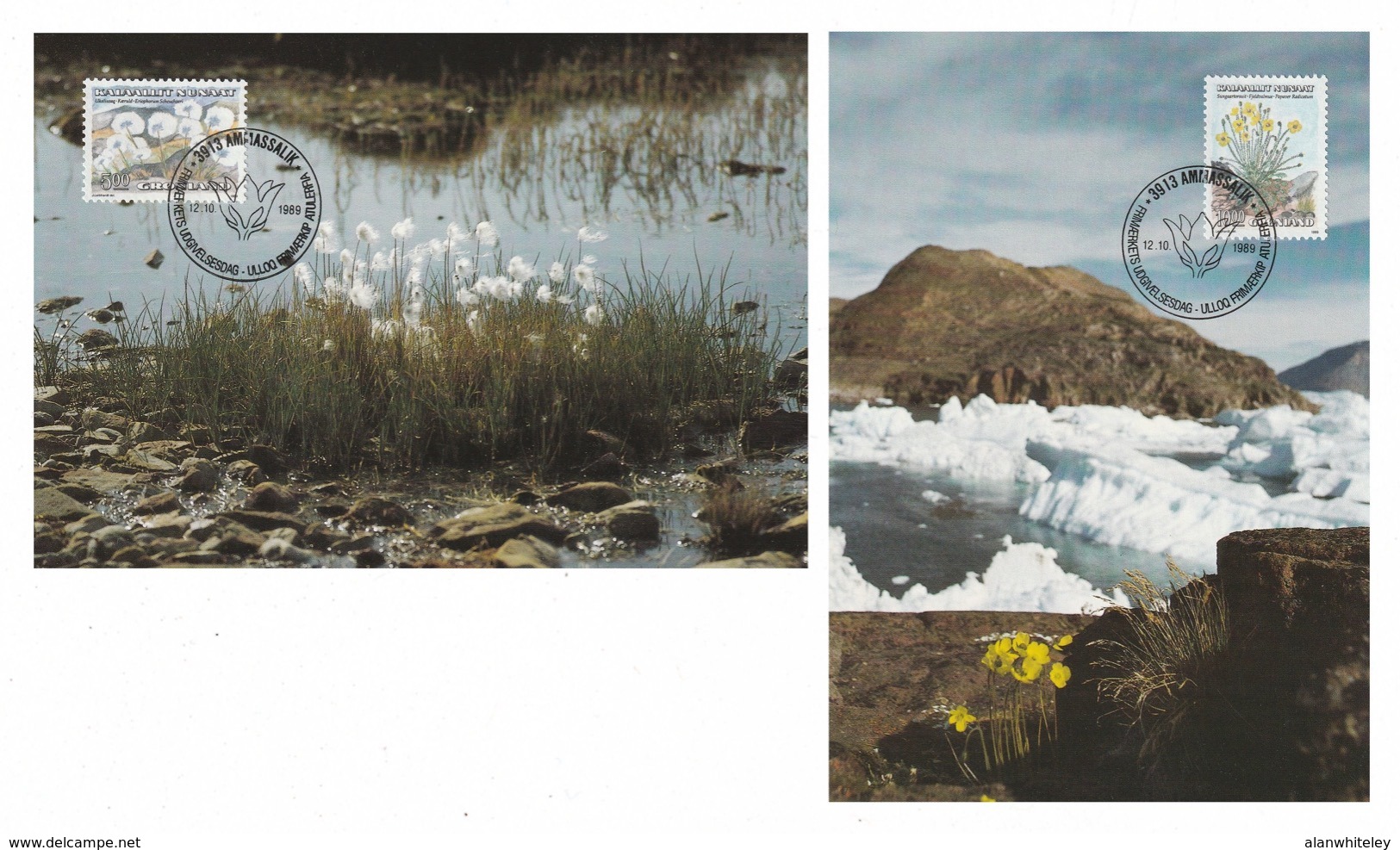 GREENLAND 1989 Flowers / Cotton Grass / Mountain Poppy: Set Of 2 Maximum Cards CANCELLED - Maximumkaarten