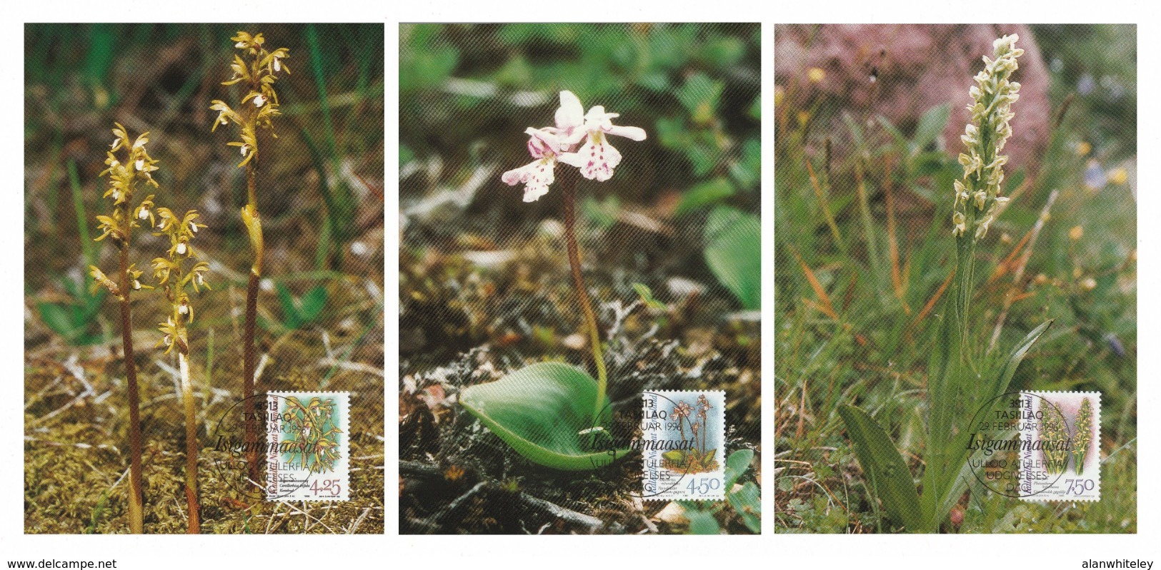 GREENLAND 1996 Arctic Orchids: Set Of 3 Maximum Cards CANCELLED - Cartoline Maximum