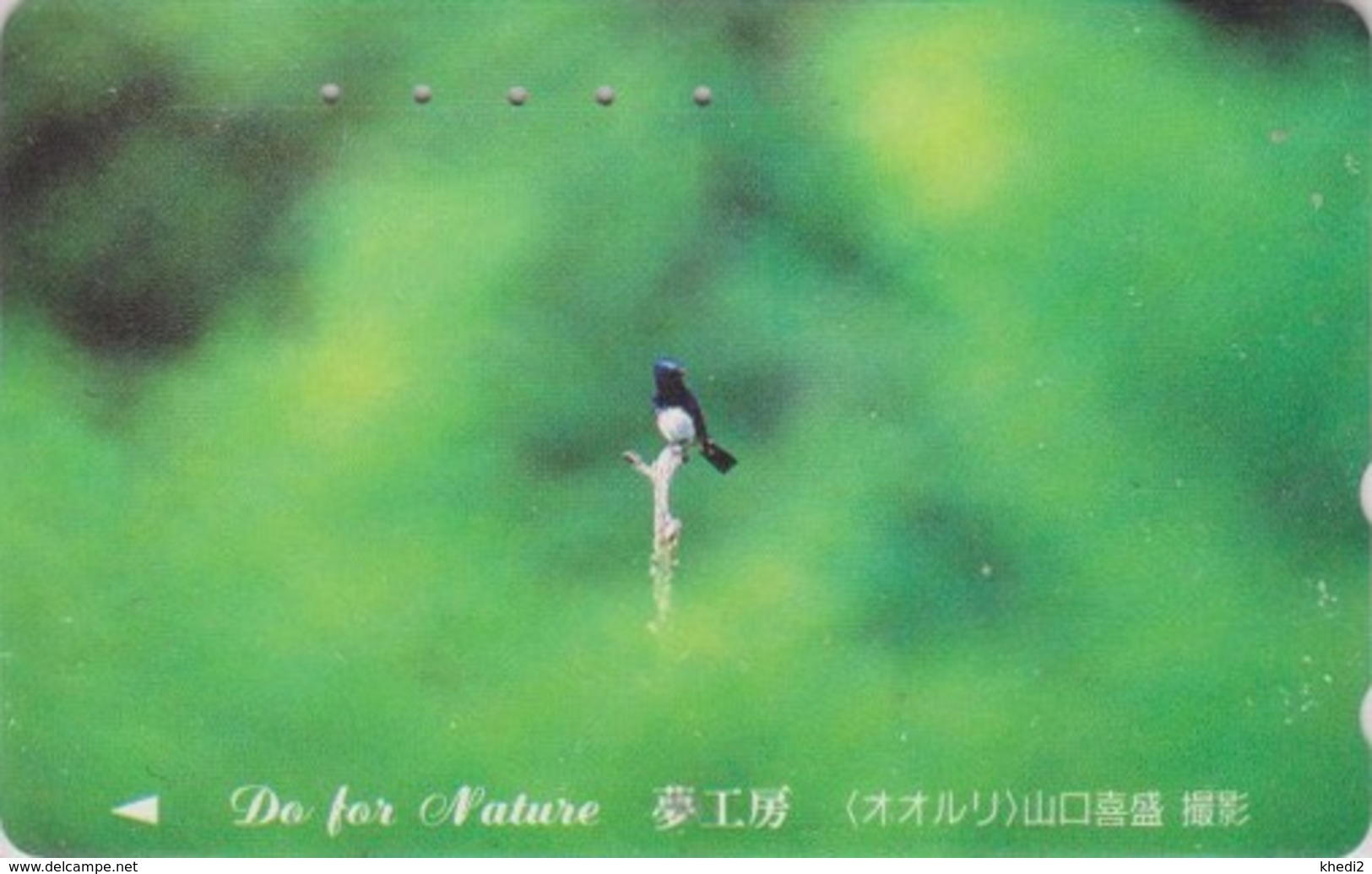 Télécarte Japon / 110-011 - Animal - OISEAU Passereau - GOBEMOUCHE - FLYCATCHER SONG BIRD Japan Phonecard - 4433 - Passereaux