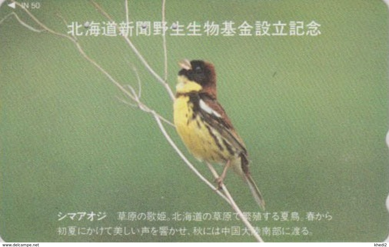 Télécarte Japon / 110-011 - Animal - OISEAU Passereau - BRUANT AUREOLE - BUNTING SONG BIRD Japan Phonecard - 4435 - Zangvogels