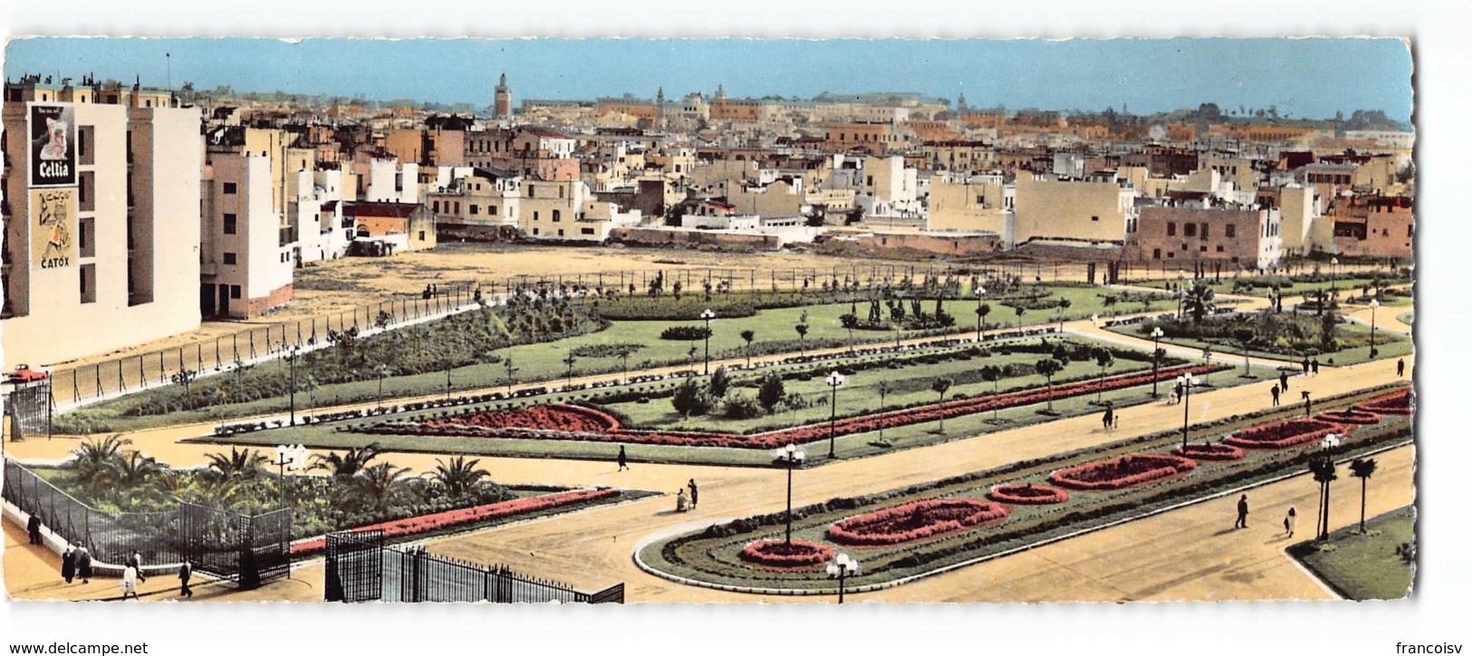 Tunisie - Tunis - Parc Habib Thameur Edit Gaston Levy 5060 Carte Panoramique 9X22 CPSM - Tunisie