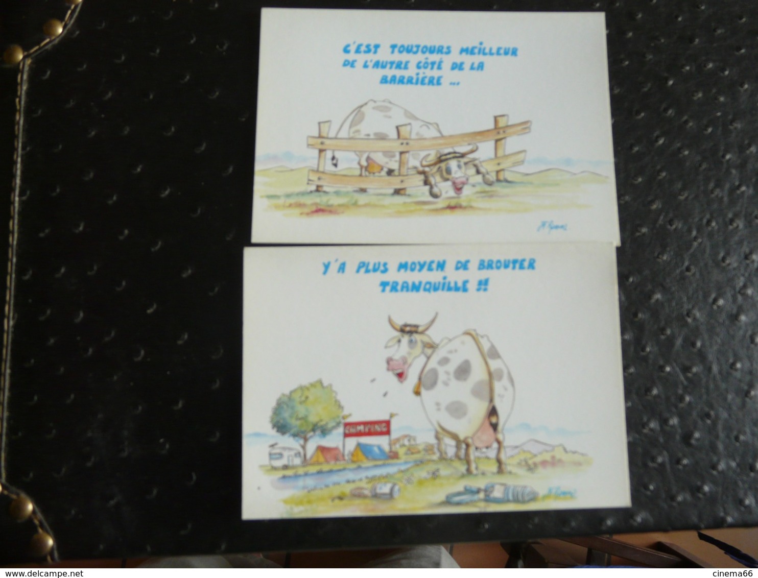 RÉFLEXIONS DE VACHES (lot De 2 Cartes) - Humour