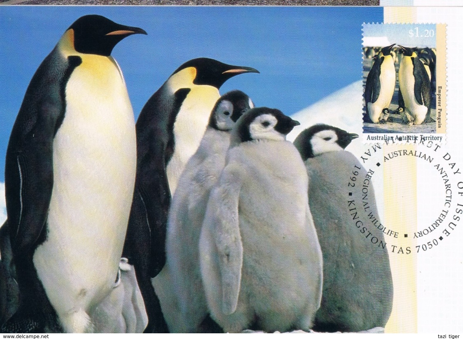 AUSTRALIAN ANTARCTIC TERRITORY (AAT) • 1992 • ANTARCTIC REGIONAL WILDLIFE • MAXIMUM CARD SET OF 5 - Maximum Cards