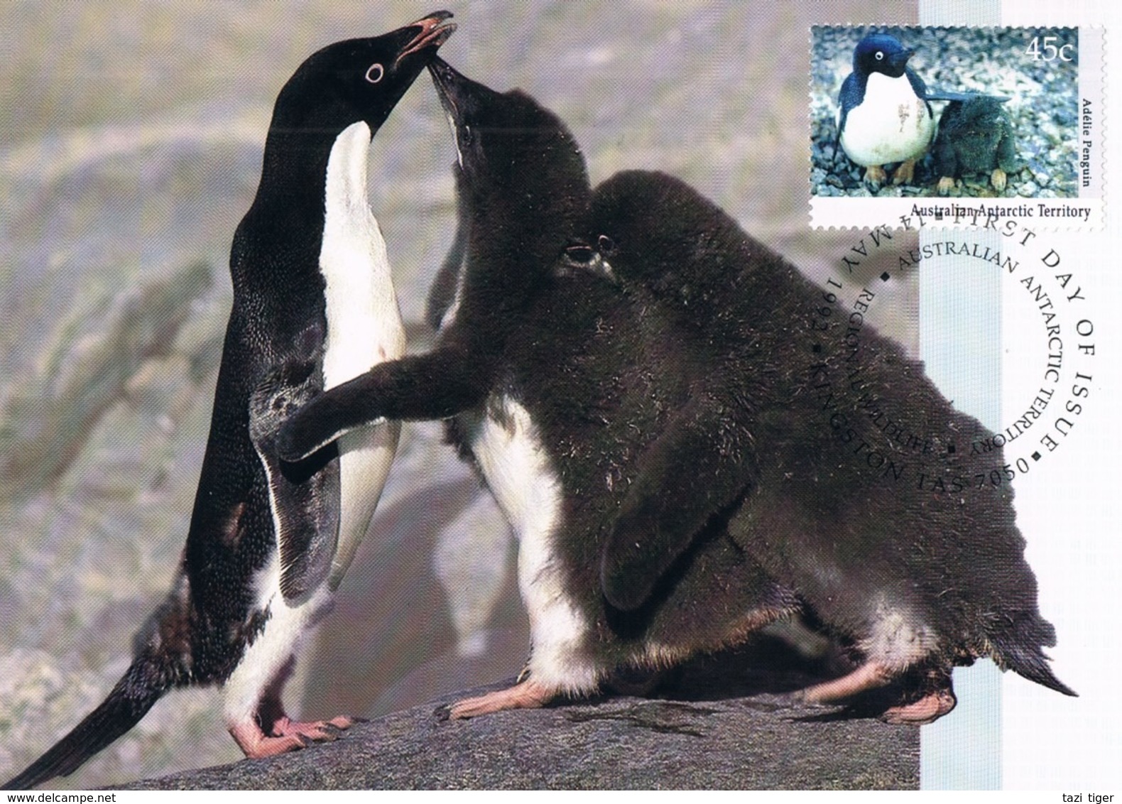 AUSTRALIAN ANTARCTIC TERRITORY (AAT) • 1992 • ANTARCTIC REGIONAL WILDLIFE • MAXIMUM CARD SET OF 5 - Maximumkarten