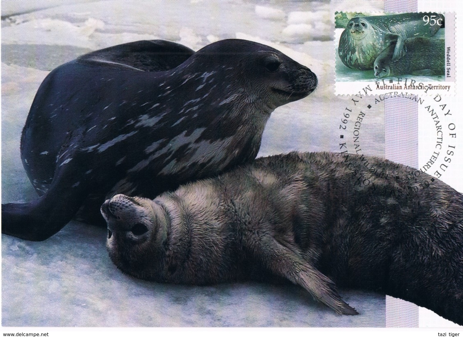 AUSTRALIAN ANTARCTIC TERRITORY (AAT) • 1992 • ANTARCTIC REGIONAL WILDLIFE • MAXIMUM CARD SET OF 5 - Tarjetas – Máxima