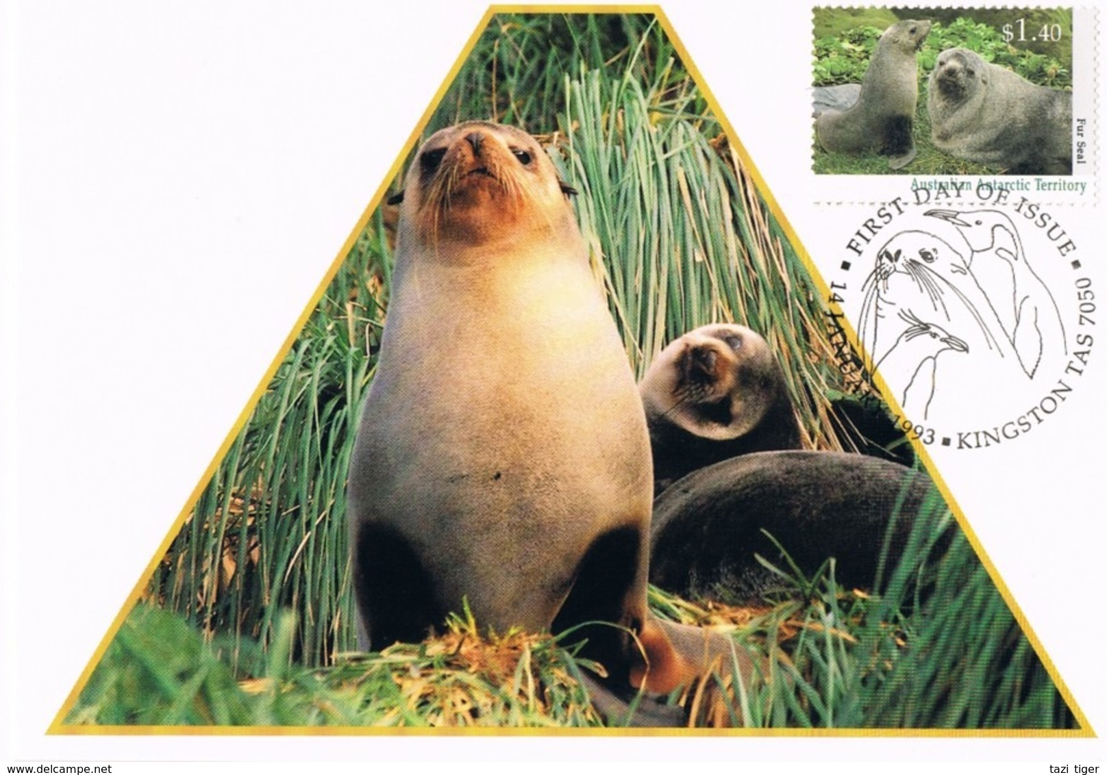 AUSTRALIAN ANTARCTIC TERRITORY • 1993 • REGIONAL WILDLIFE II • MAXIMUM CARD SET OF 3 - Tarjetas – Máxima