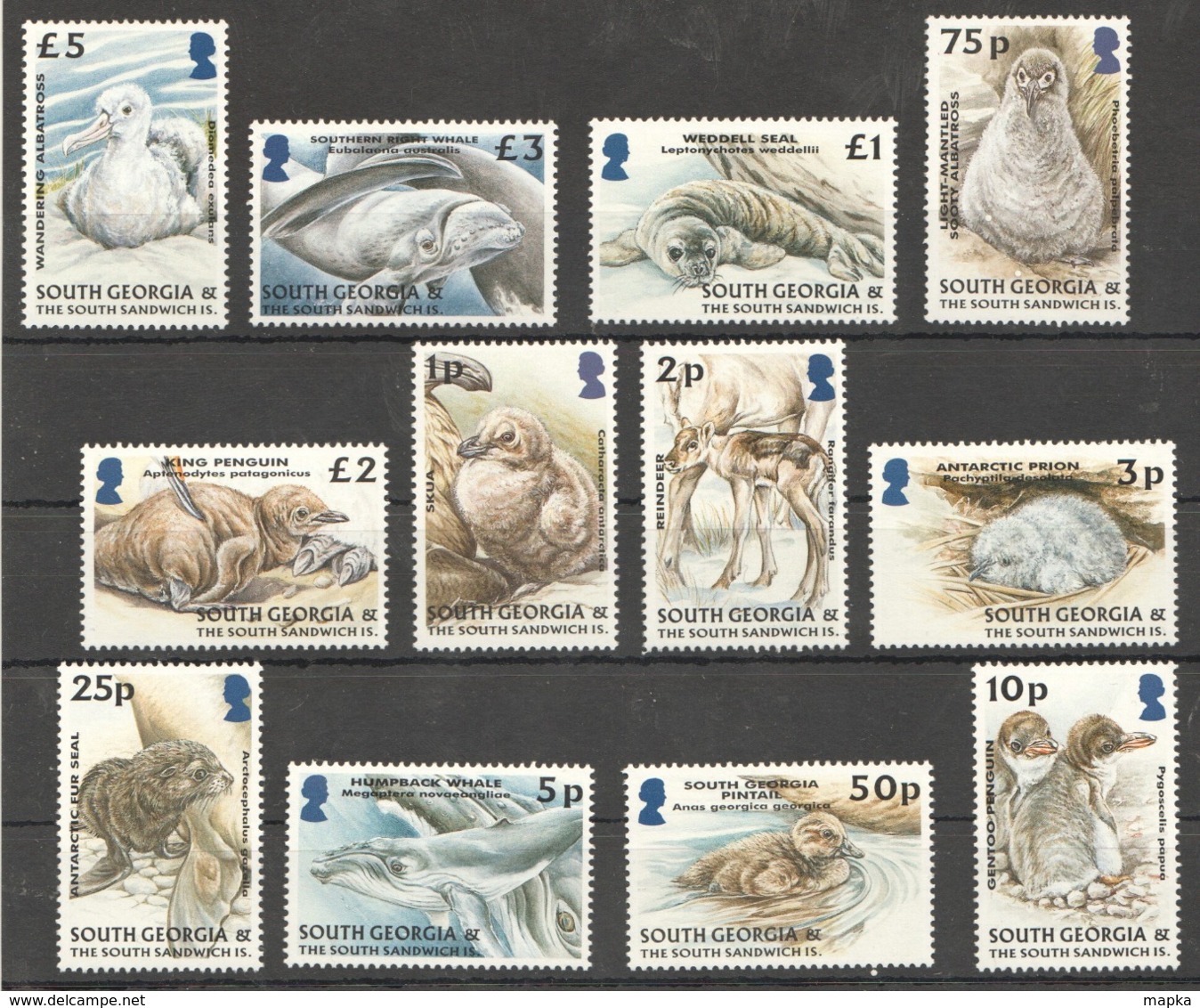 W529 SOUTH GEORGIA FAUNA BIRDS MARINE LIFE WILD ANIMALS #390-401 !!! MICHEL 50 EURO !!! 1SET MNH - Other & Unclassified