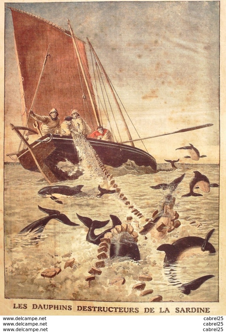 LE PETIT JOURNAL-1913-1166-DAUPHINS DESTRUCTEURS De SARDINES MOROCH/BELUGA-OEUF De PAQUES - Le Petit Journal