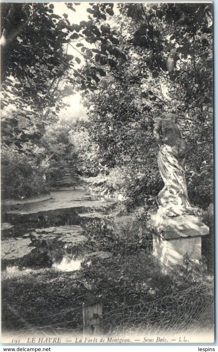 76 - Le HAVRE - La Forêt De MONTJEON - Sous Bois - Forêt De Montgeon