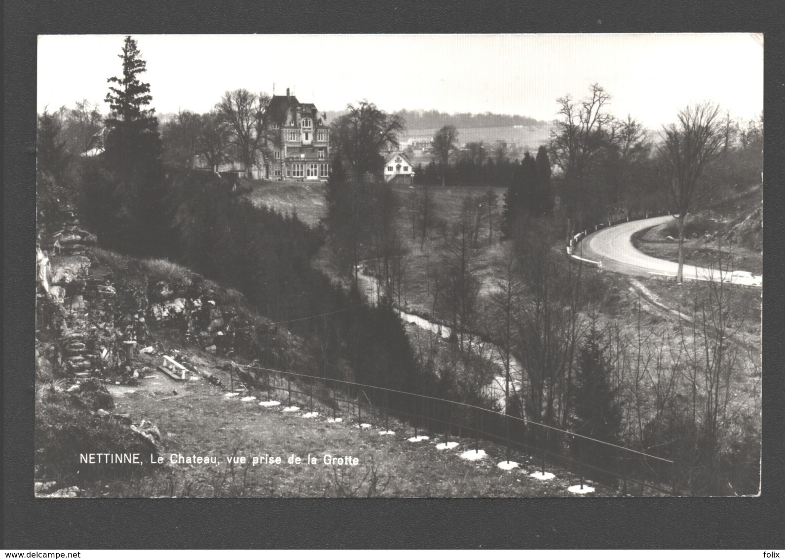 Nettinne - Le Château, Vue Prise De La Grotte - Carte Photo - Somme-Leuze