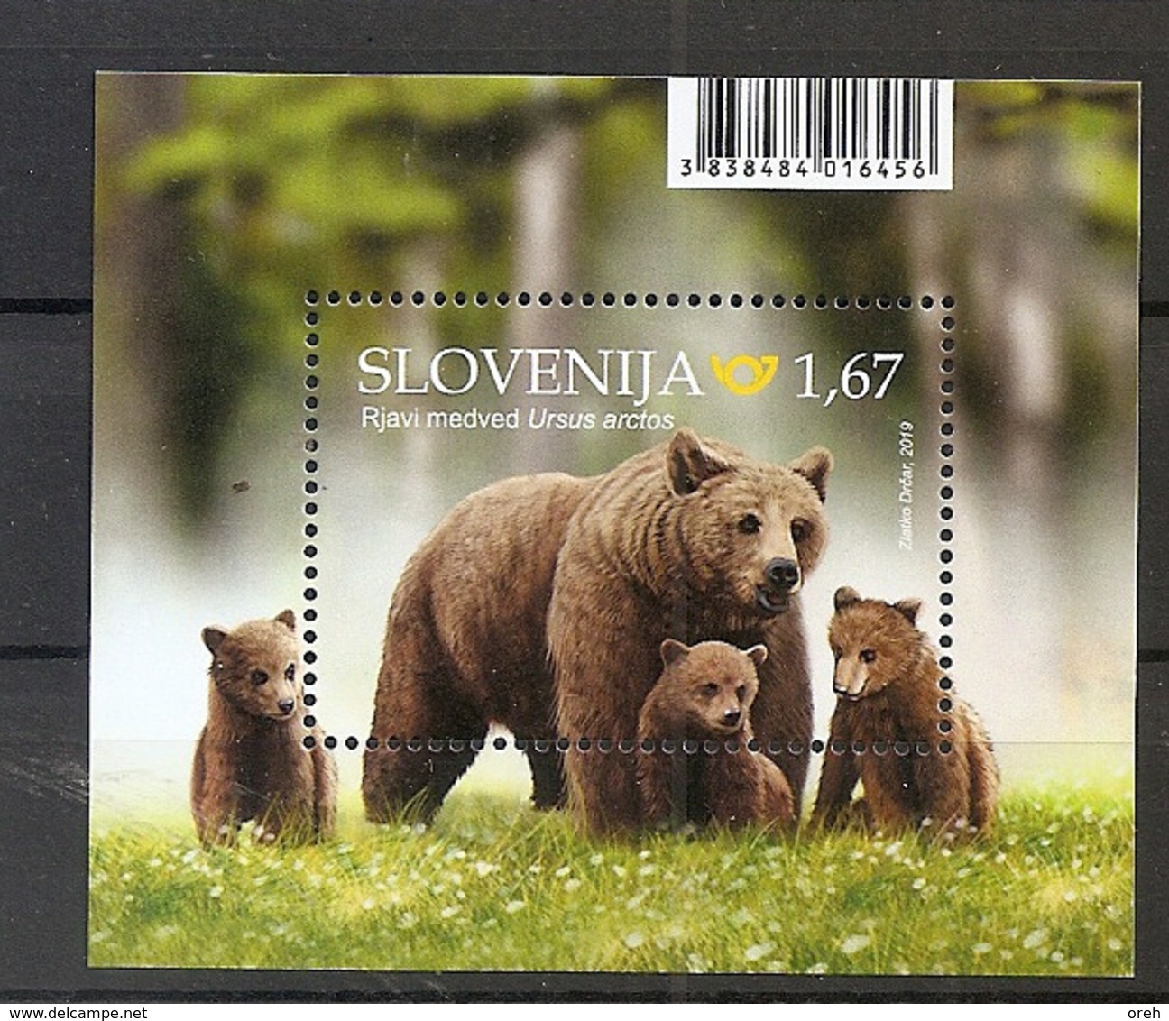 SLOVENIA  2019,FAUNA,BROWN BEER,BRUNBAR,BLOCK,MNH - Osos