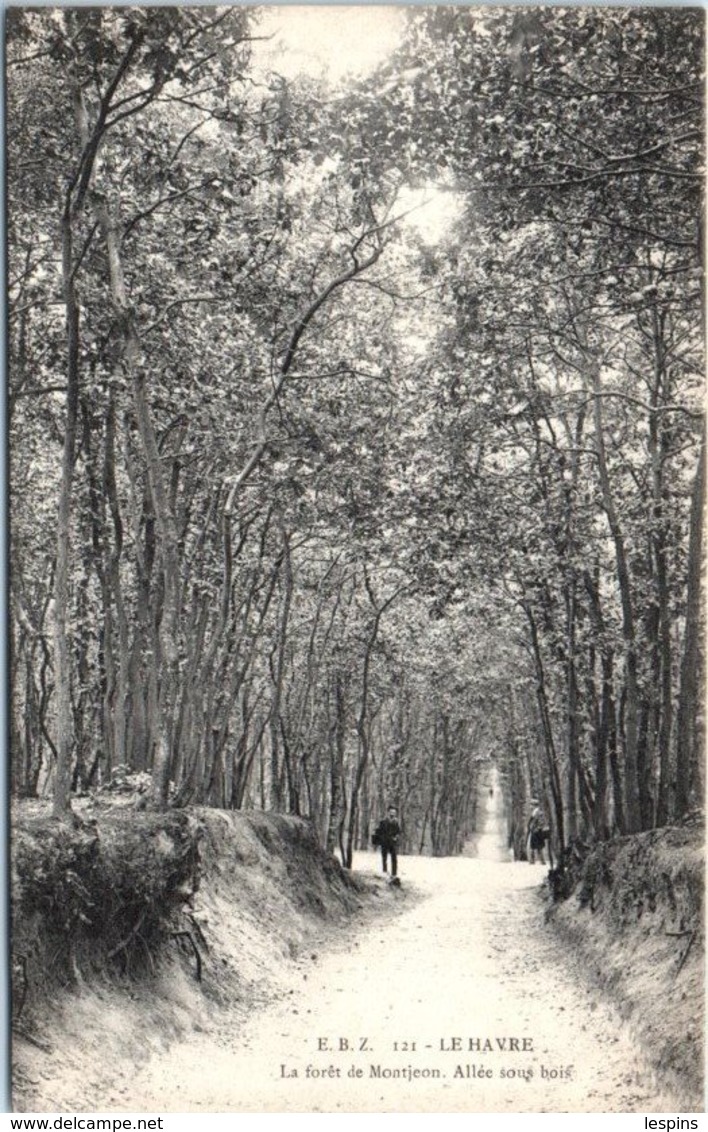 76 - Le HAVRE - La Forêt De MONTJEON - Allée Sous Bois - Forêt De Montgeon