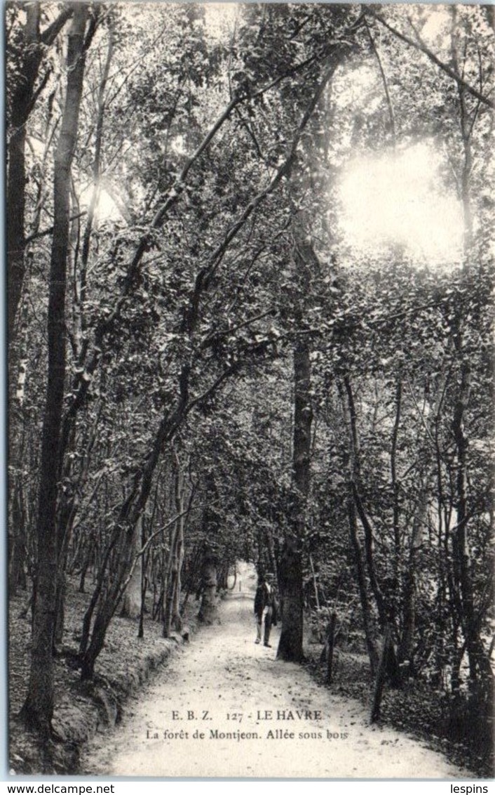 76 - Le HAVRE - La Forêt De MONTJEON - Allée Sous Bois - Forêt De Montgeon