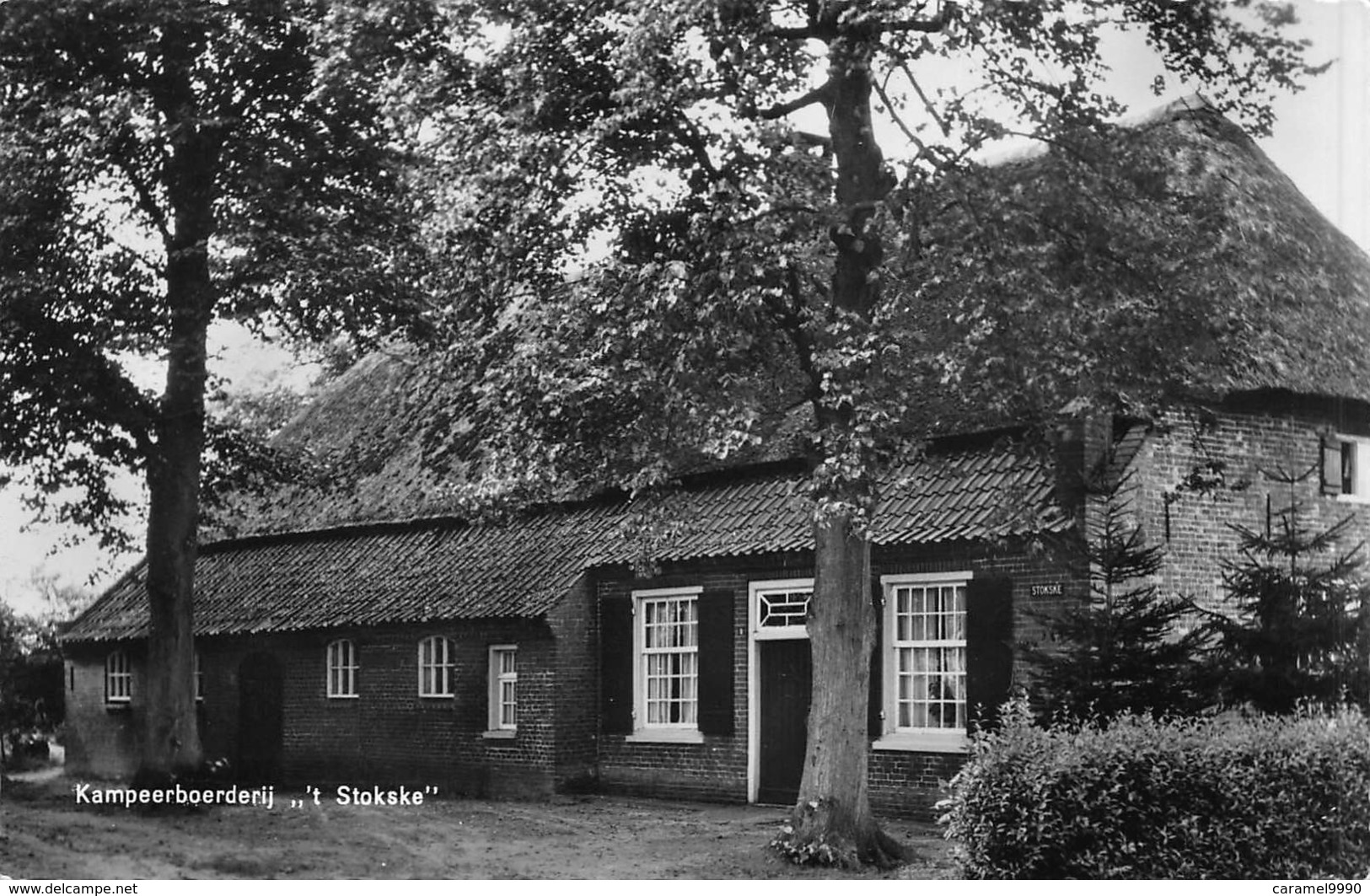 Nederland Noord-Brabant  Oisterwijk  Kampeerboerderij Boerderij 't Stokske     Echte Foto Fotokaart         L 1141 - Andere & Zonder Classificatie