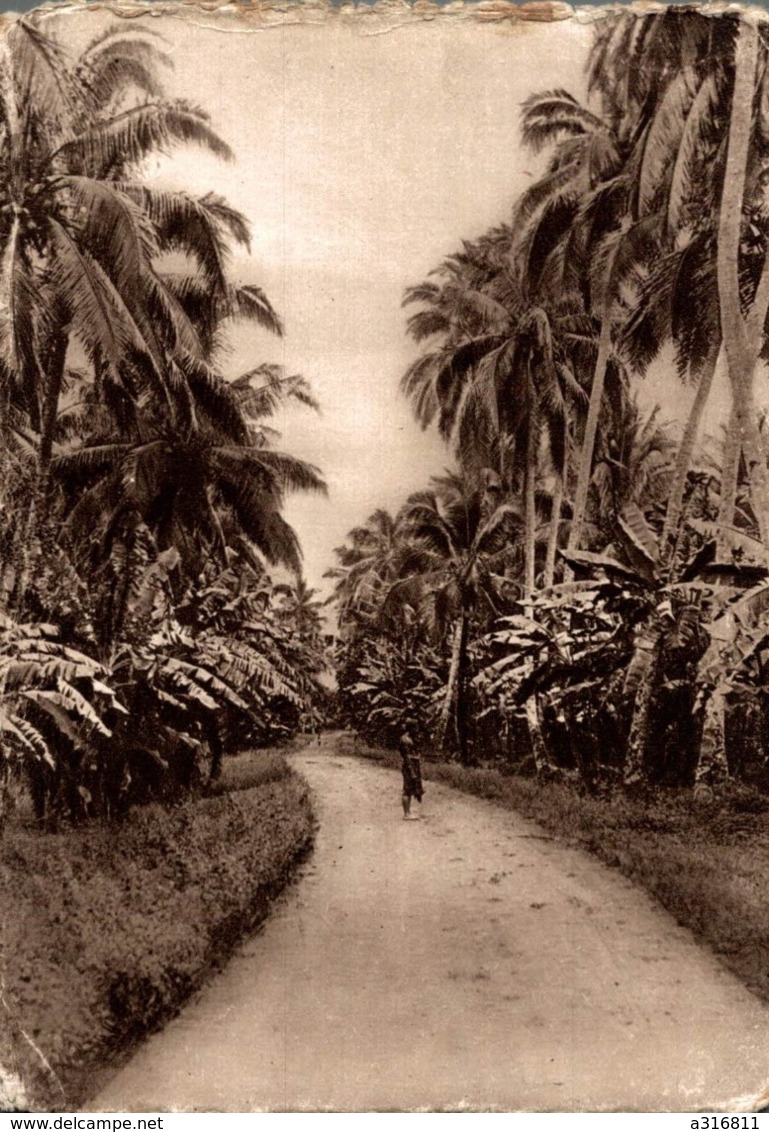 MISSION MARISTES D OCEANIE PAYUSAGE SAMOAN - Samoa