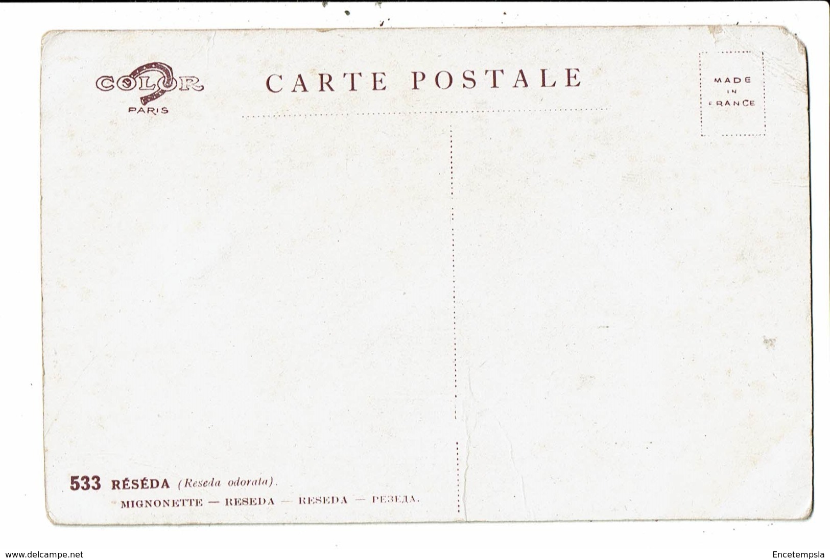 CPA-Carte Postale France  Réséda : Amour Fragile   VM6819 - Fiori