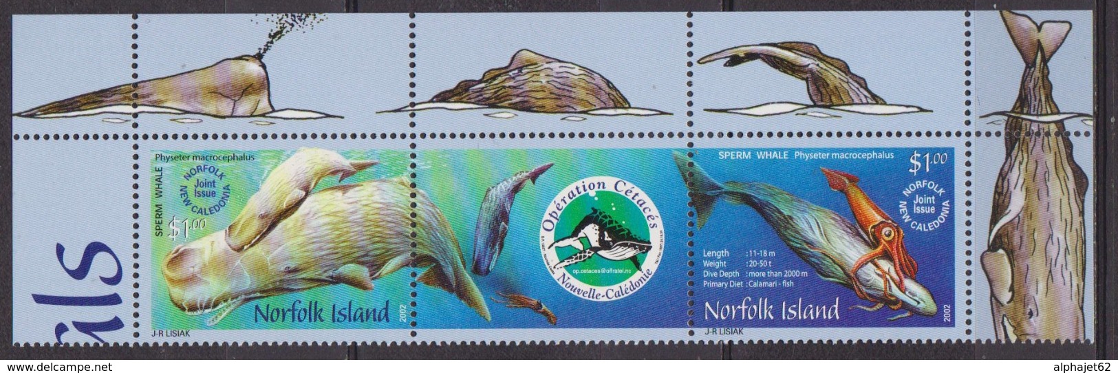 Faune, Cachalot - NORFOLK ISLAND - Jeune Cachalot, Calmar Géant - N° 755-756 ** - 2002 - Isola Norfolk