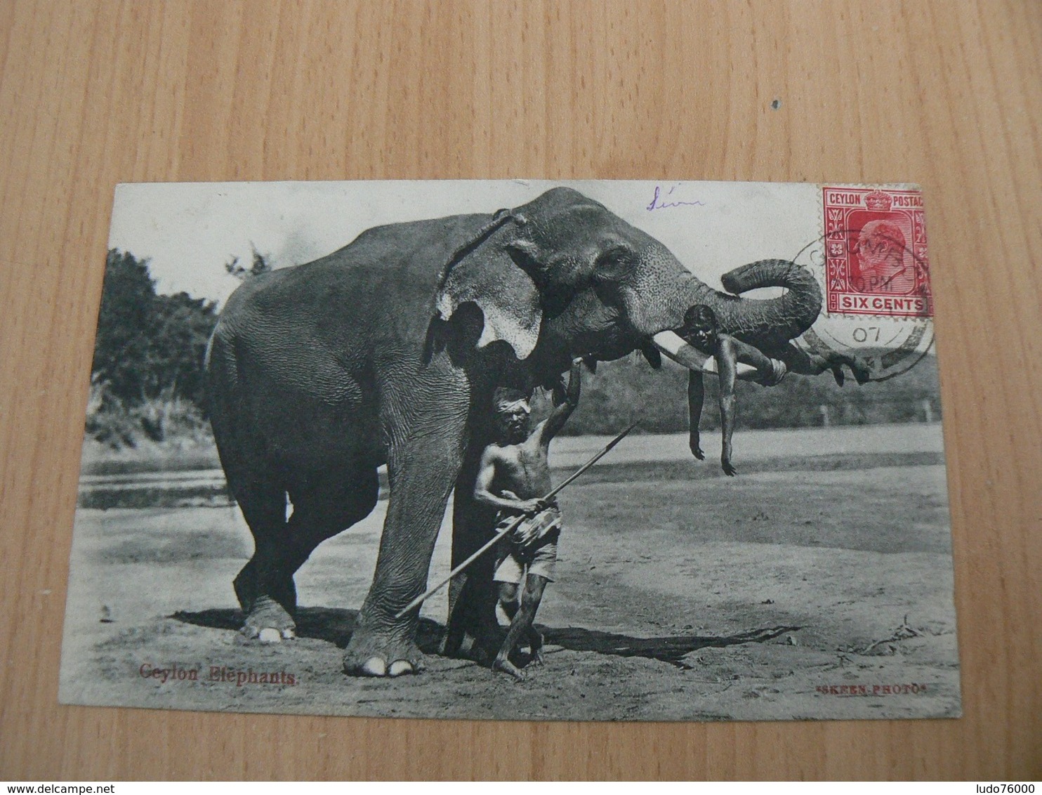 CP 97 / SRI LANKA CEYLON /  CEYLON ELEPHANTS / CARTE VOYAGEE / 2 SCANS - Sri Lanka (Ceilán)