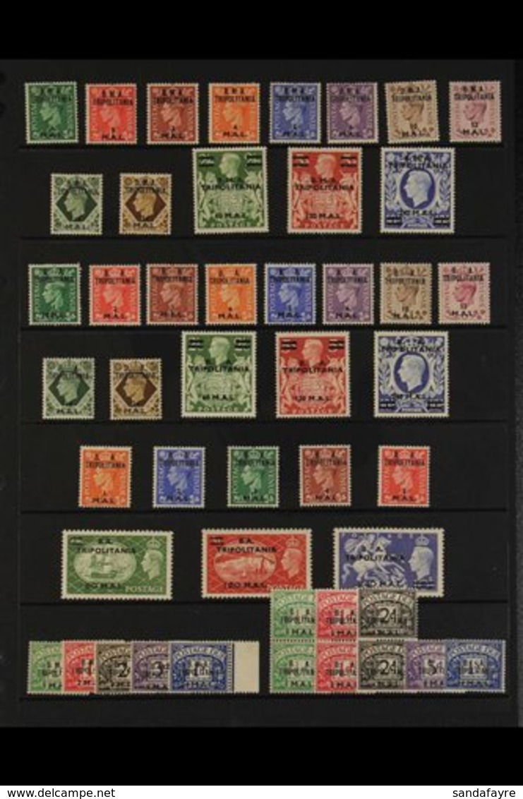 TRIPOLITANIA 1948-1950. VERY FINE MINT COMPLETE COLLECTION. An Attractive Collection Of Complete Sets Including Postage  - Afrique Orientale Italienne