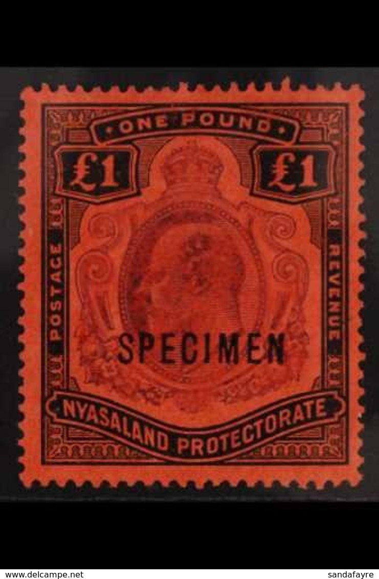 1908 £1 Purple And Black On Red, Ovptd "Specimen", SG 81s, Very Fine Mint. For More Images, Please Visit Http://www.sand - Nyassaland (1907-1953)