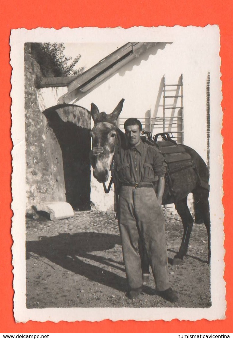 ALPINI Con Mulo 2 Foto Anni 30 - Guerra, Militari