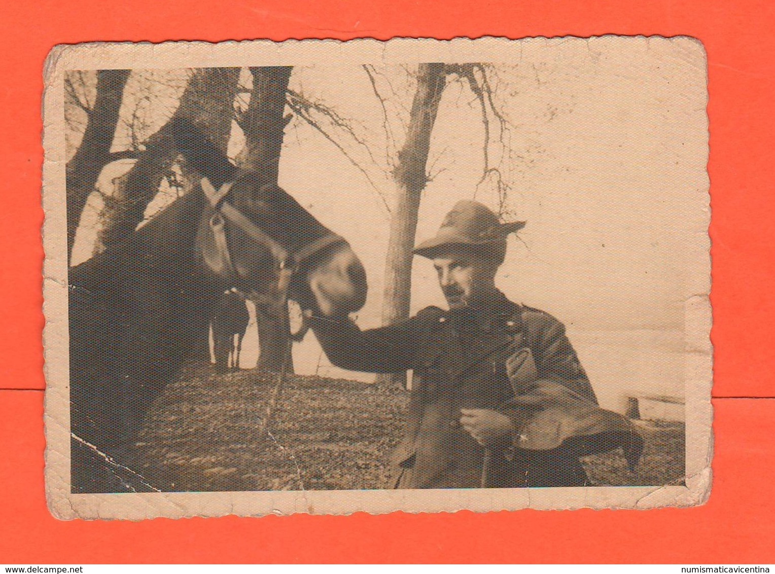 ALPINI Con Mulo 2 Foto Anni 30 - Guerra, Militari