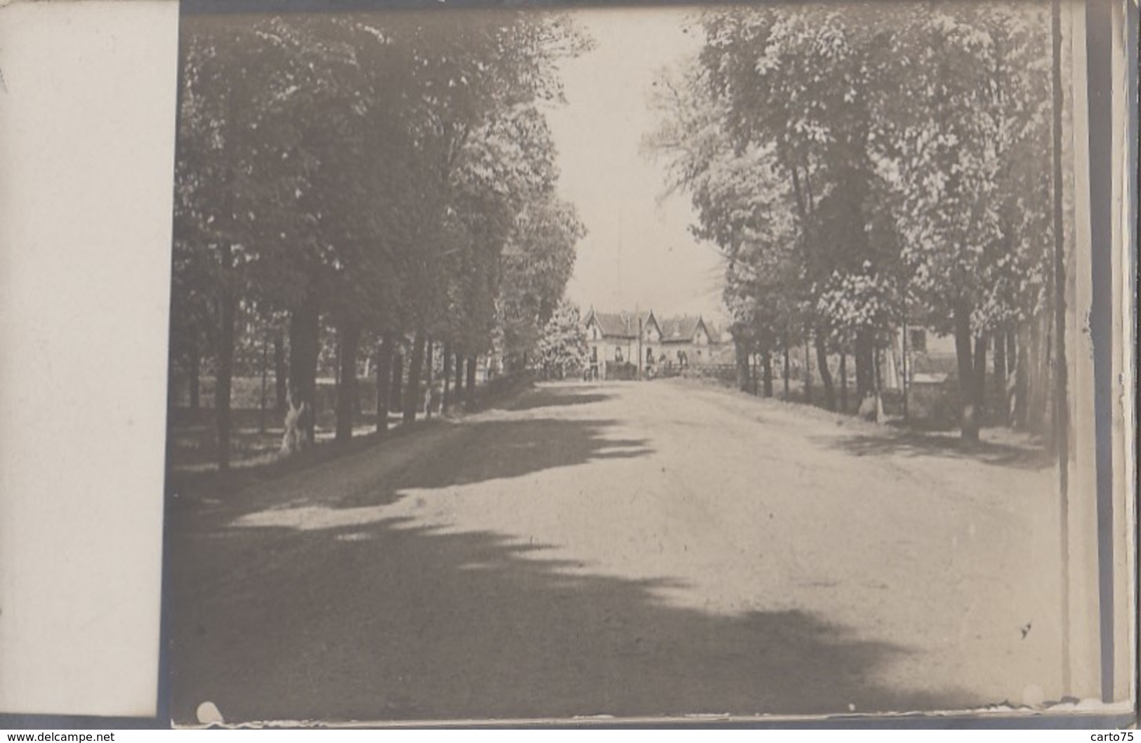 Photographie - Carte-photo - Allée Avenue Villas Châlets - Lieu à Situer - Fotografie