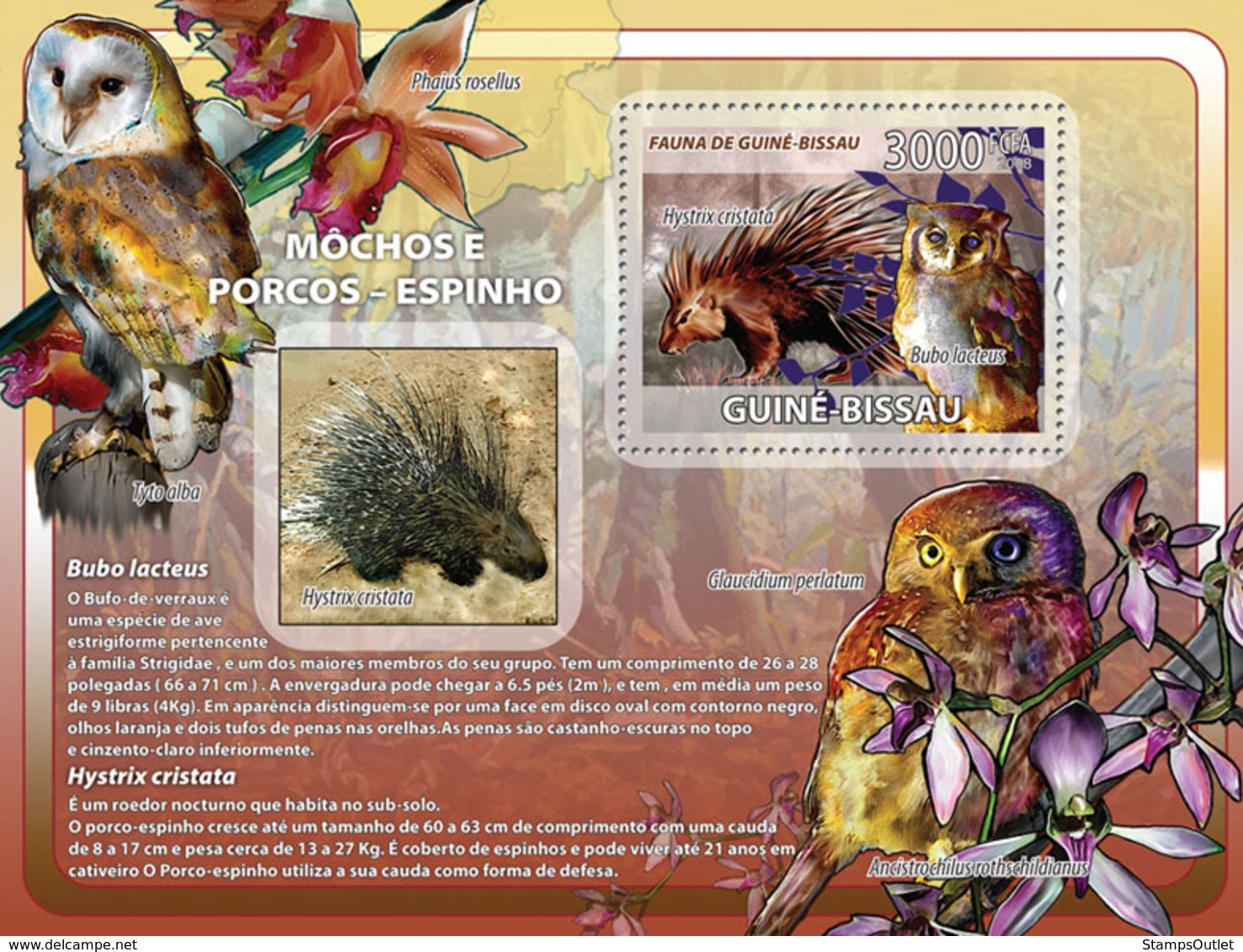 Guinea - Bissau 2008 - Owls, Porcupines, Orchids S/s Y&T 399, Michel 3836/BL647 - Guinea-Bissau