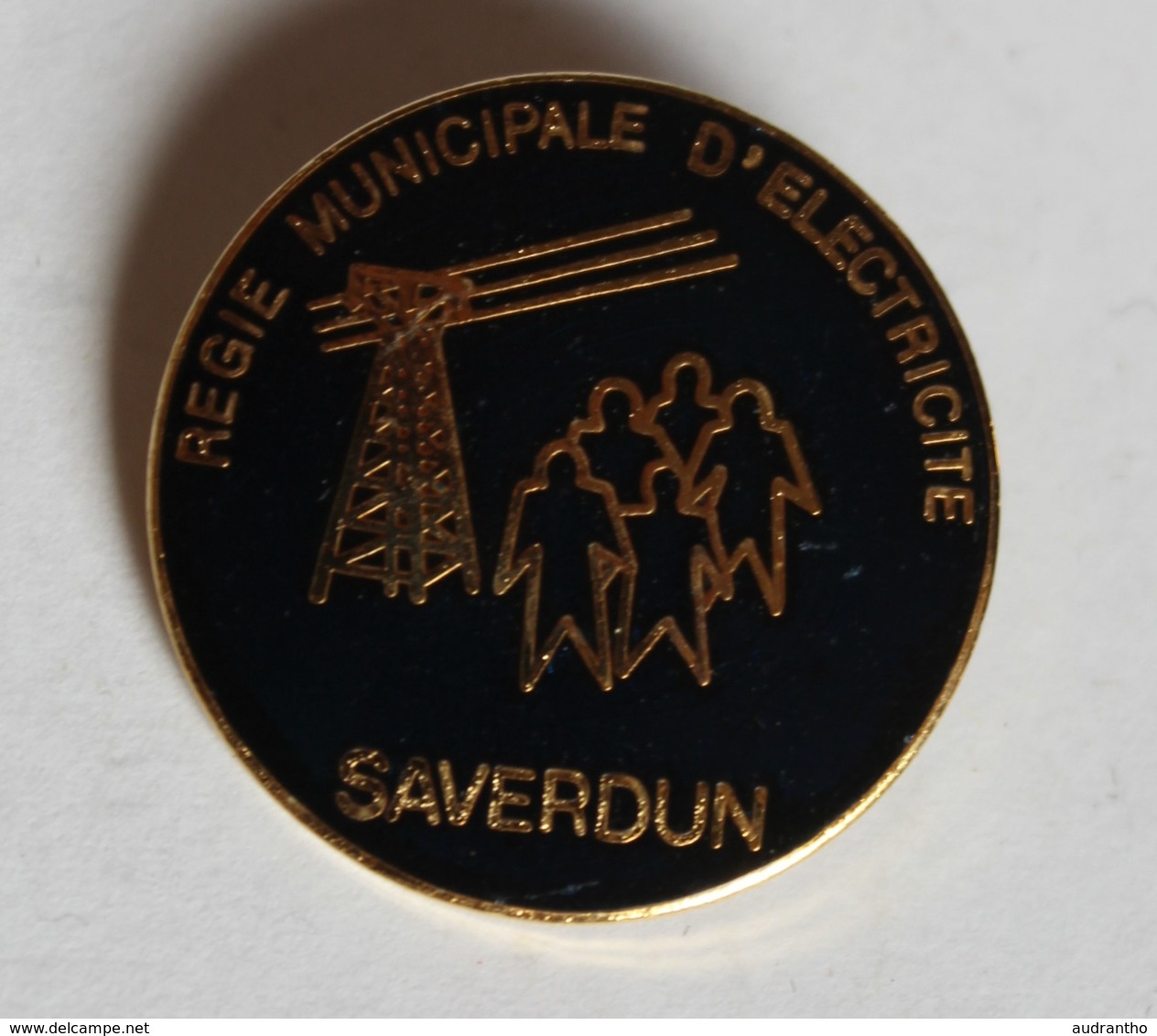 Broche Régie Municipale D'électricité De Saverdun - Other & Unclassified