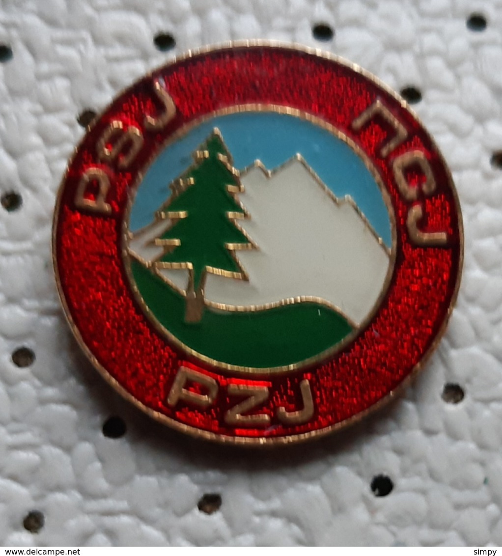 Alpine Federation Of Yugoslavia  PZJ PSJ  Alpinism, Mountaineering Yugoslavia Pin - Alpinisme, Beklimming