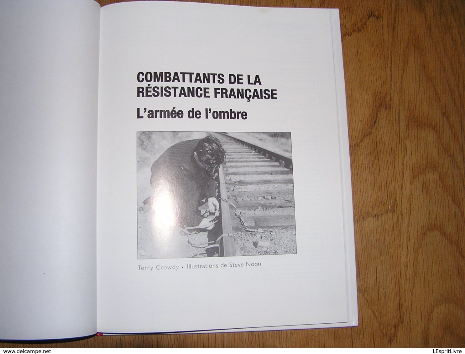 COMBATTANTS DE LA RESISTANCE FRANCAISE L'Armée De L'Ombre Guerre 40 45 FFI Résistant Maquis Parachutage Armée Secrète - Guerra 1939-45