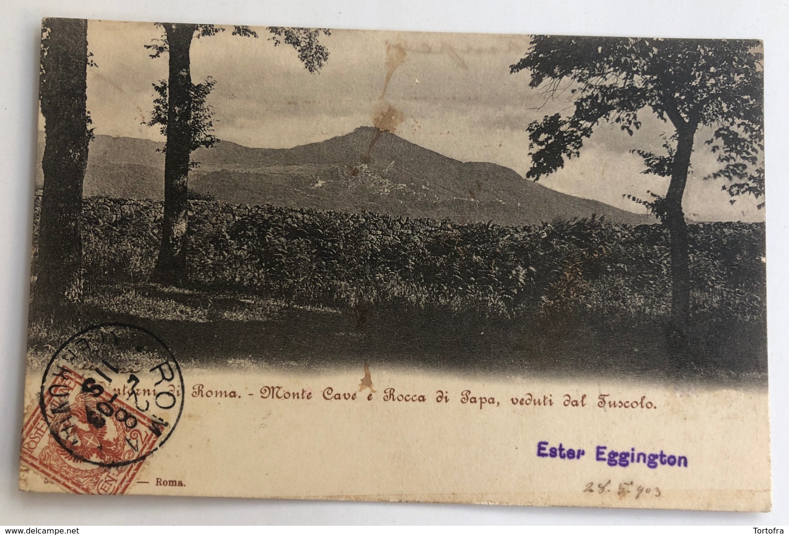 DINTORNI DI ROMA MONTE CAVE E ROCCA DI PAPA VEDUTI DAL TUSCOLO 1903 - Panoramic Views
