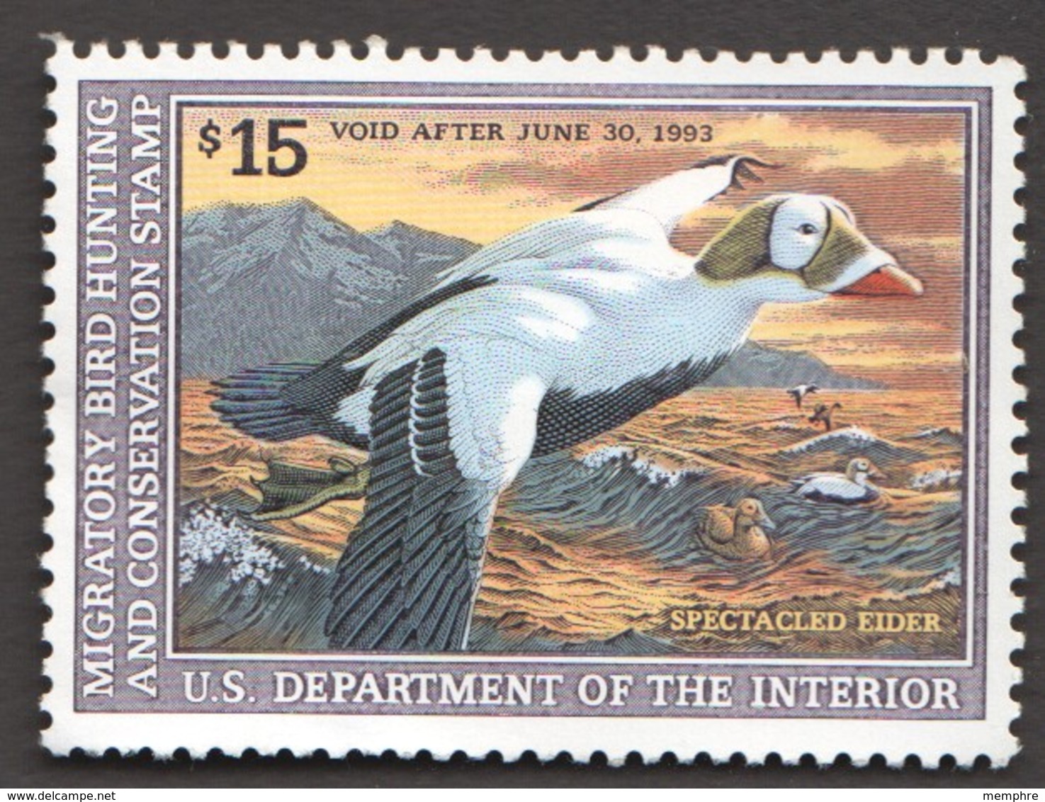 1992-3 Eider $15  Mint,  Gum  Missing On Small Area - Duck Stamps