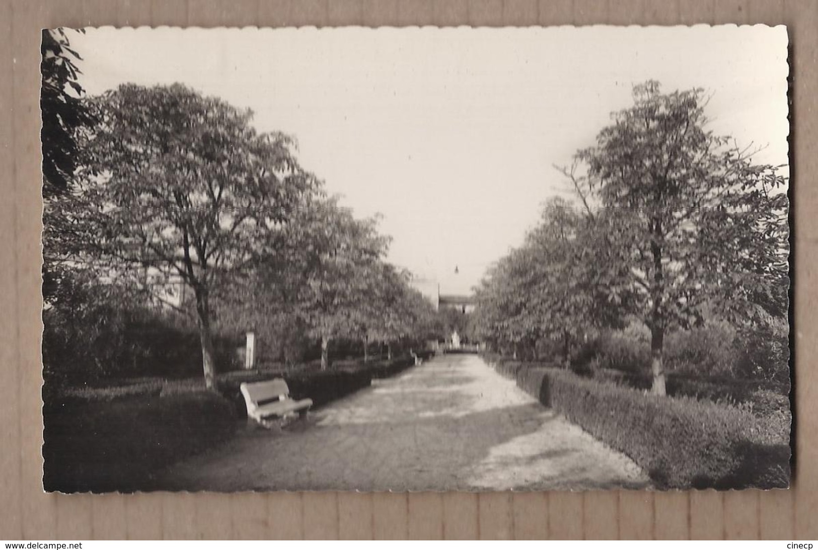 CPSM 34 - PAULHAN - Jardin De La Mairie - TB PLAN Allée Vers Statue + Habitations Derrière - Paulhan