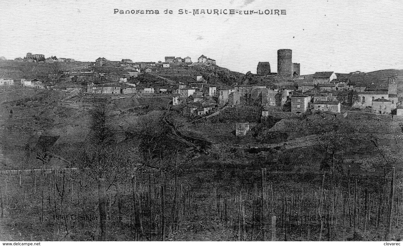 SAINT MAURICE SUR LOIRE "Vue" - Autres & Non Classés